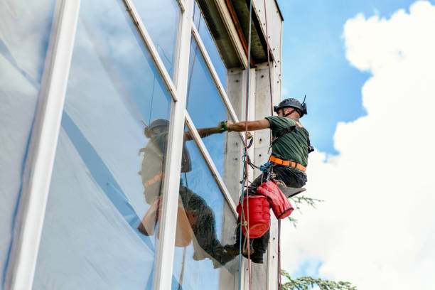 Best Skylight Installation  in Mojave, CA